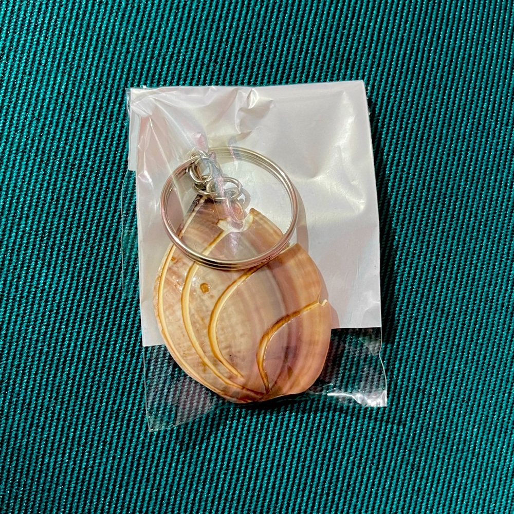 Seashell Keychain - Picture 1 of 1